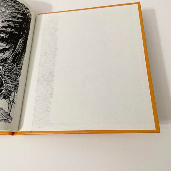 Vtg 1981 The Birch Bark Caper Book by Stanley Burke Roy Peterson - Picture 15 of 16